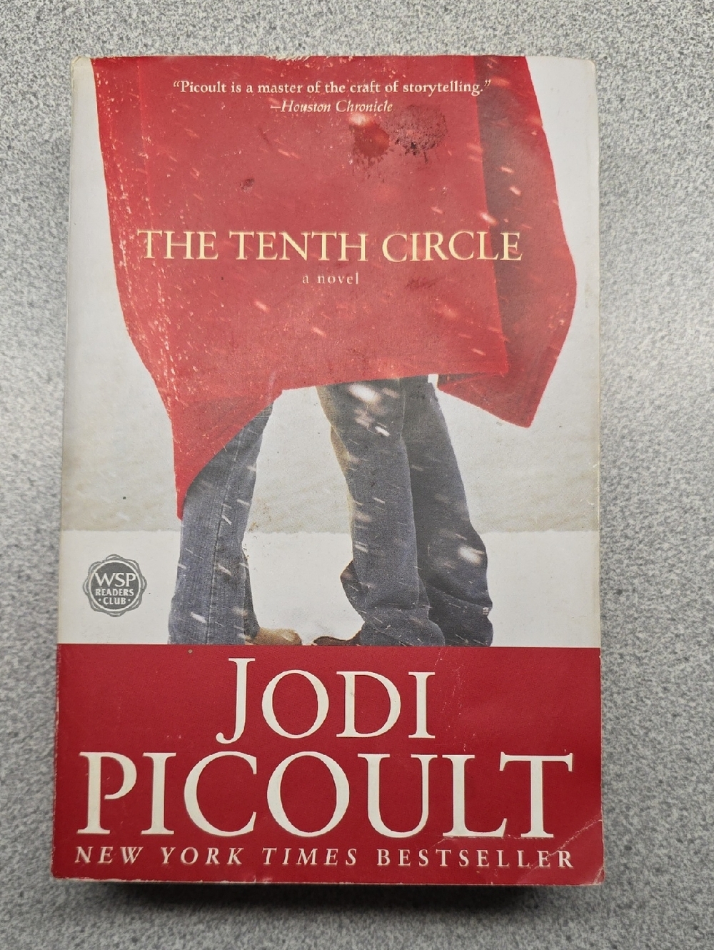 The Tenth Circle by Jodi Picoult
